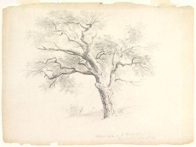 Hosack Malikanesi