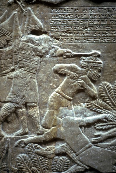 Asurbanipal, Til-Tuba Savaşı