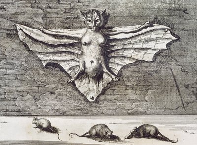 Uçan Kedi, 1667 by Athanasius Kircher