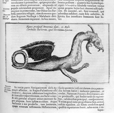 ejderha, 1678 by Athanasius Kircher