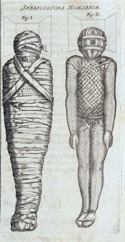 Mumyalar - Athanase Kircher tarafından “” Sphynx mystagoga” da by Athanasius Kircher