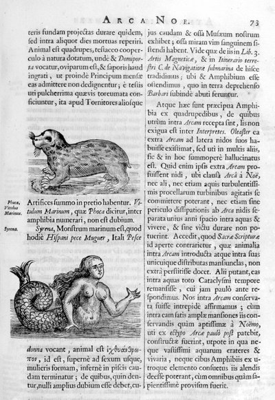Efsanevi yaratıklar, 1675. by Athanasius Kircher