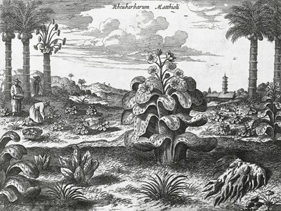 Ravent bitkisi, Çin anıtlarından gravür by Athanasius Kircher
