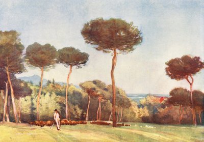  by Aubrey Waterfield