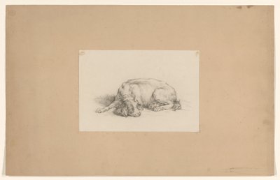 yalancı köpek by August Allebe