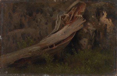 Çürüyen bir Gövde Çalışması by August Cappelen