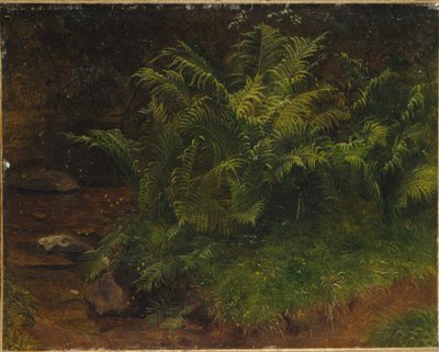 Eğrelti otu çalışması (tuval üzerine yağlı boya) by August Cappelen