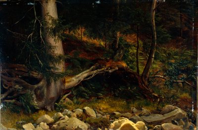 Orman zemini çalışması (resim) by August Cappelen