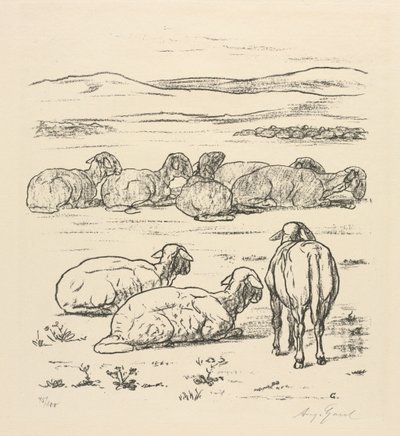 Koyun by August Gaul