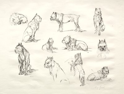 Köpeklerin Çalışması by August Gaul