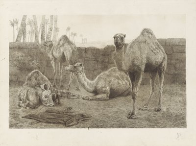 develer by August Le Gras