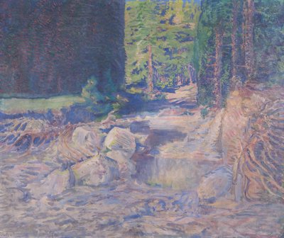 Hareketsiz torrent by August Roth