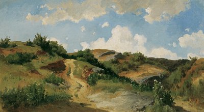Macar manzara by August Schaeffer von Wienwald