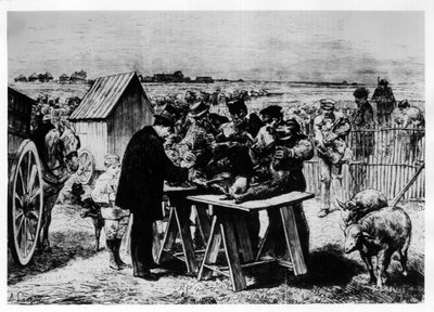 Koyunların Pasteur tarafından aşılanması, A. Lançon tarafından gravür. by Auguste Andre Lancon