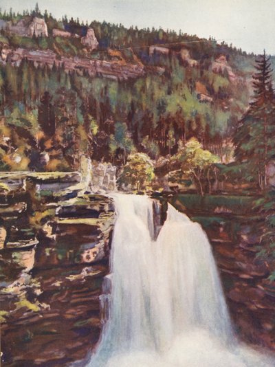 Fransa: Le Saut Du Doubs (renkli litografi) by Auguste Gerardin