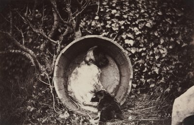 Namluda Köpek ve Köpek Yavrusu by Auguste Giraudon