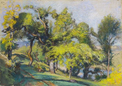 Bir Nehrin Üzerinde Kestane Ağaçları by Auguste Lepere