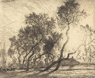 Hollanda Kavak Çiftliği, 1914. by Auguste Lepere