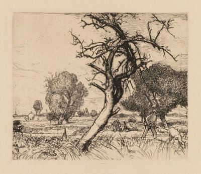 Auguste Lepère: Ölü elma ağacı (Picardy) by Auguste Louis Lepère