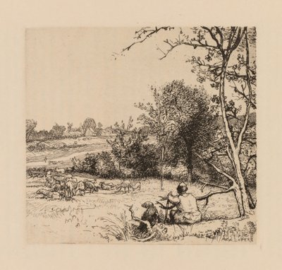Auguste Lepère: Devrilmiş elma ağacı Picardy. by Auguste Louis Lepère