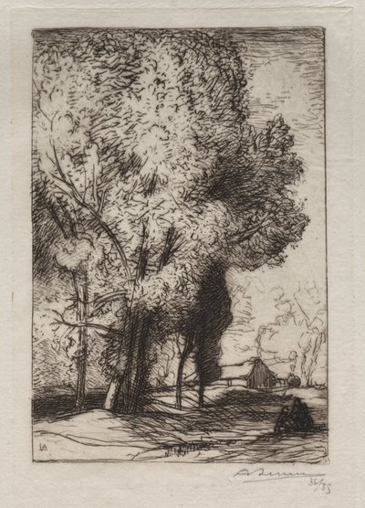 Kavaklarda Bourrine by Auguste Louis Lepère