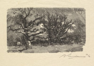 Fontainebleau Ormanı: Au dormoir de Lantara (La Forêt de Fontainebleau: Au dormoir de Lantara) by Auguste Louis Lepère