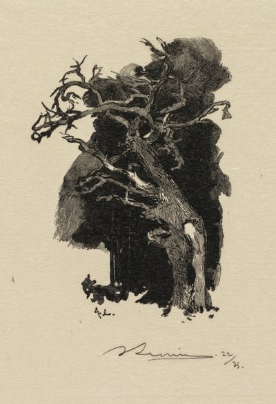 Fontainebleau Ormanı: Öfkeli Olan by Auguste Louis Lepère