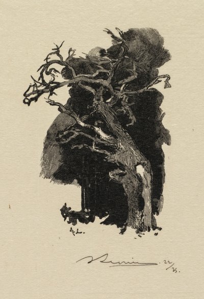 Fontainebleau Ormanı: Öfkeli Olan Fontainebleau Ormanı: Öfkeli Olan, 1890. by Auguste Louis Lepère