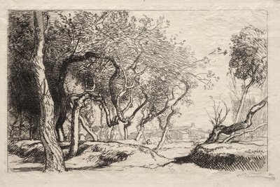 Bükülmüş Ağaç, 1915. by Auguste Louis Lepère