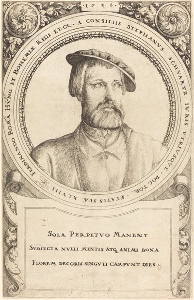 Doktor Stephen Schwartz, 1548. by Augustin Hirschvogel