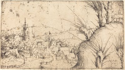 Solda Kasabalı Manzara by Augustin Hirschvogel