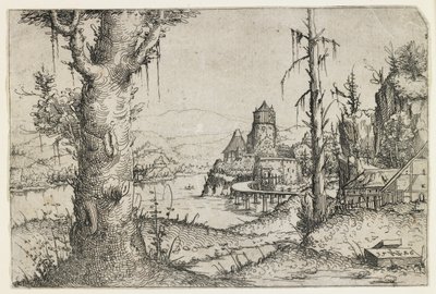 Gölde Büyük Ağaç ve Kale by Augustin Hirschvogel