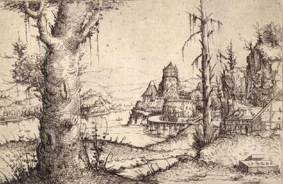 S.9-1993 Kalın bir ağaç ile nehir manzarası by Augustin Hirschvogel