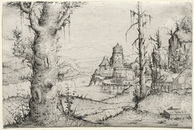 Soldaki büyük ağaçlı nehir manzarası by Augustin Hirschvogel