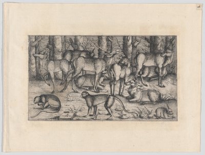 Ormandaki Geyikler, 1545. by Augustin Hirschvogel