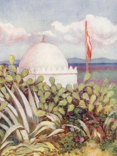 Tanca yakınlarında bir Marabout (renkli lito) by Augustine Fitzgerald