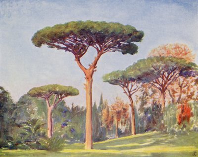 Rock Pines, Villa Floridiana (renkli litografi) by Augustine Fitzgerald