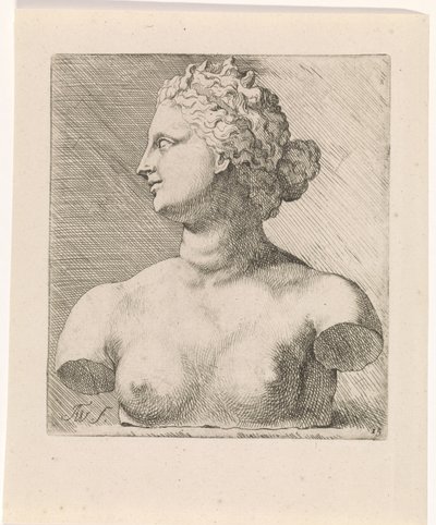 Venus de