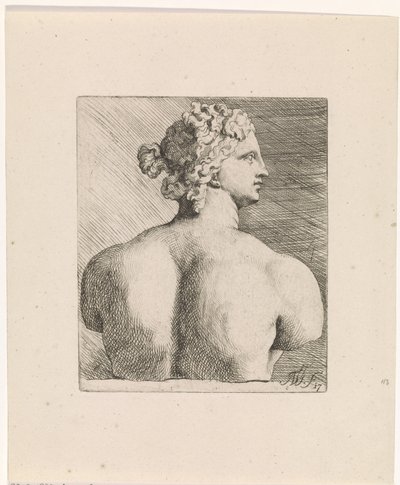 Arkadan görülen Venus de