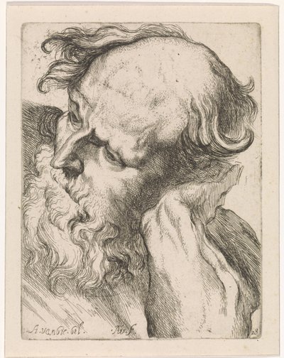 Yaşlı bir adamın başı (Joseph) Anthony van Dyck