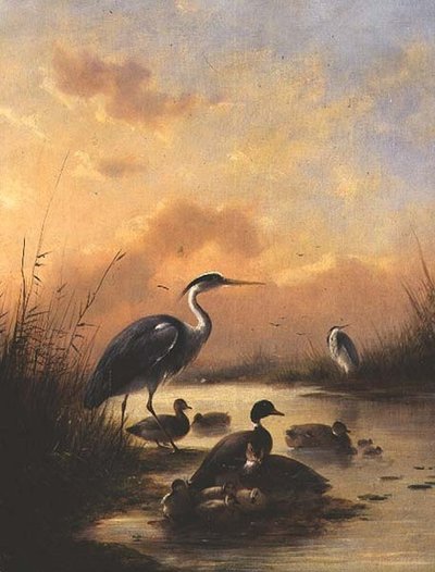 Yeşilbaş ve iki balıkçıldan oluşan bir aile (77887 çifti) by Augustus Knip