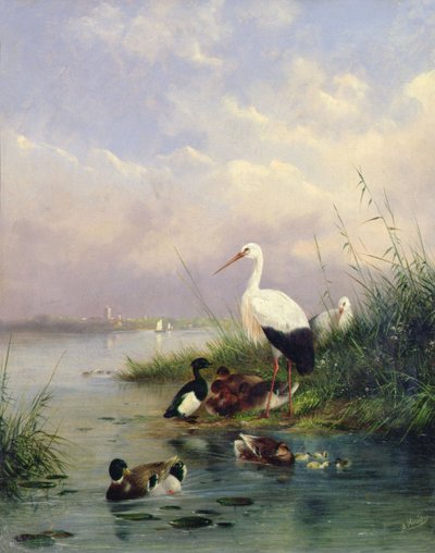 Bir Yeşilbaş ailesi, iki Leylek ve bir Tufted Ördek ailesi (77886) by Augustus Knip