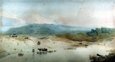 Yorkshire, Nehir ve Sığırda Görünüm, (çizim) by Augustus Wall Callcott