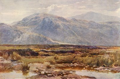  by Augustus Watford Weedon