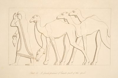 Bir kadın mahkûm ve deve, Nineveh Anıtlarından bir çizim, 1849 by Austen Henry Layard