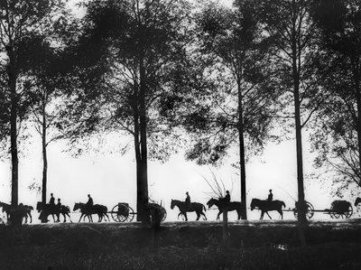 25 Eylül 1917, Ypres Yolu boyunca ilerleyen mühimmat yüklü Avustralya topçu uzuvlarının siluet halinde bir görünümü by Australian Photographer