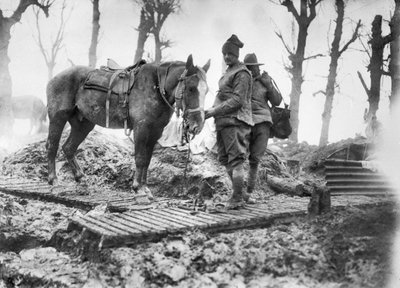 Mametz ve Montauban arasındaki bir ördek tahtası pistinde silahlara mühimmat taşımak için kullanılan bir topçu atı ve kimliği belirsiz Avustralyalı sürücüsü, Aralık 1916 by Australian Photographer