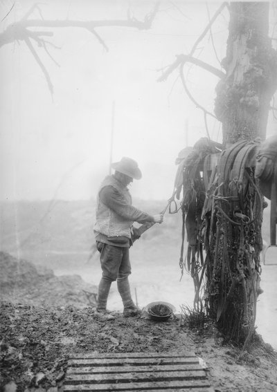 Mametz yakınlarındaki bir kütükte takımlarından çamuru temizleyen kimliği belirsiz bir Avustralyalı topçu sürücüsü, Aralık 1916 by Australian Photographer