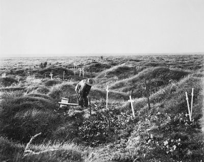 Pozieres savaş alanında OG1 hattı boyunca dağınık Avustralya mezarlarının görünümü, 16 Eylül 1917 by Australian Photographer