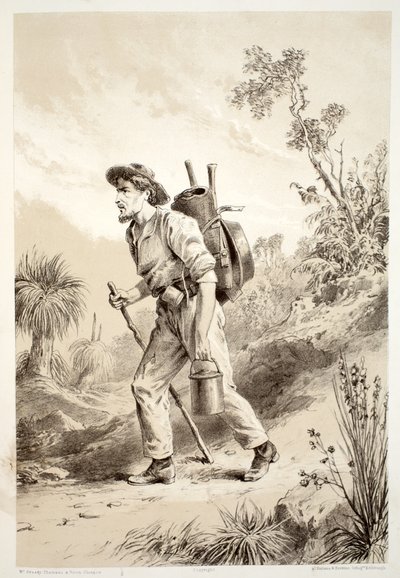 Avustralasya Tarihinden David Blair, McGrady, Thomson ve Niven, 1879